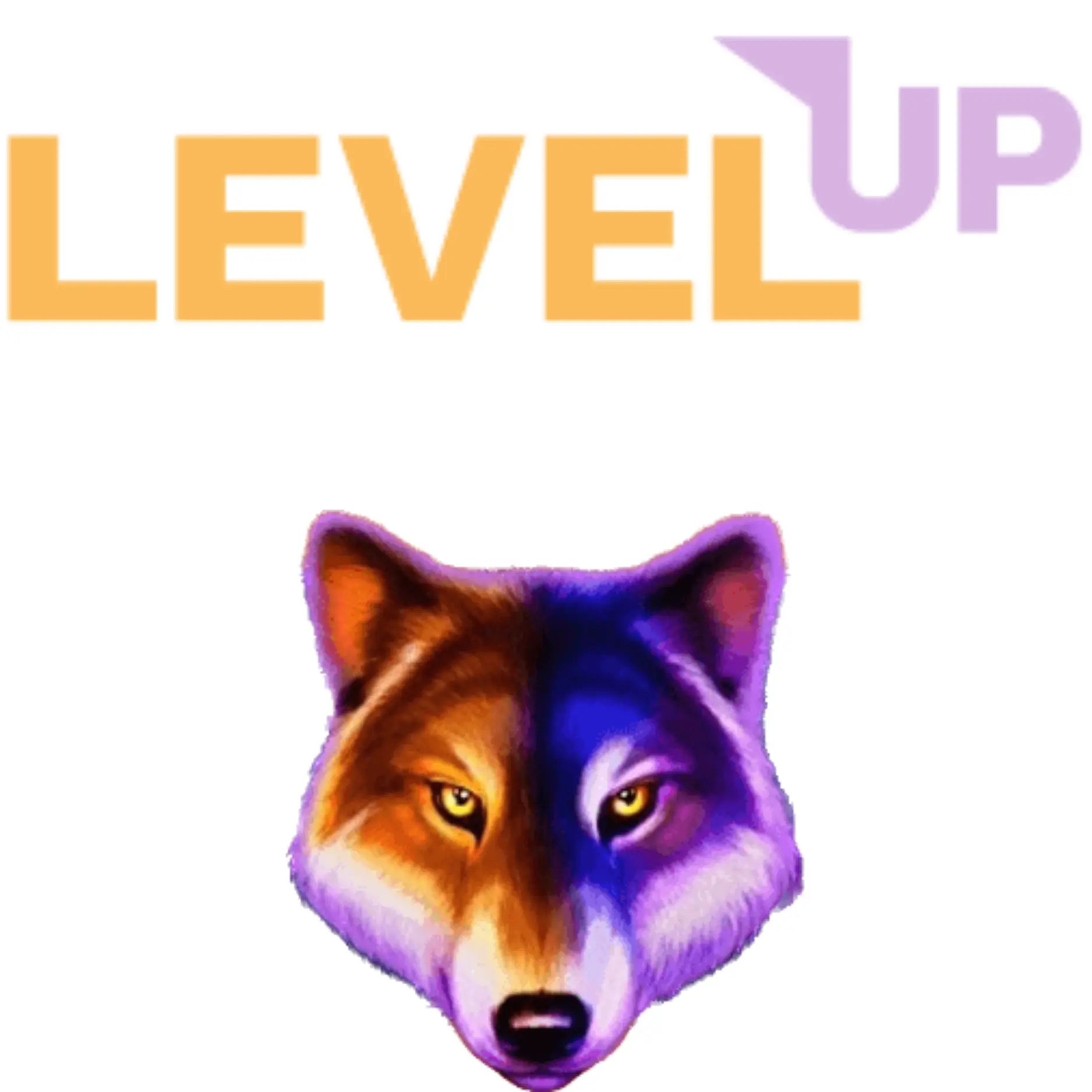 Level Up Casino Logo
